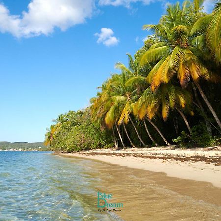 Kawan Nid - Tout Confort, Plage A 2 Min A Pied, Piscine, Wifi, Climatisation Grand-Bourg  Екстериор снимка